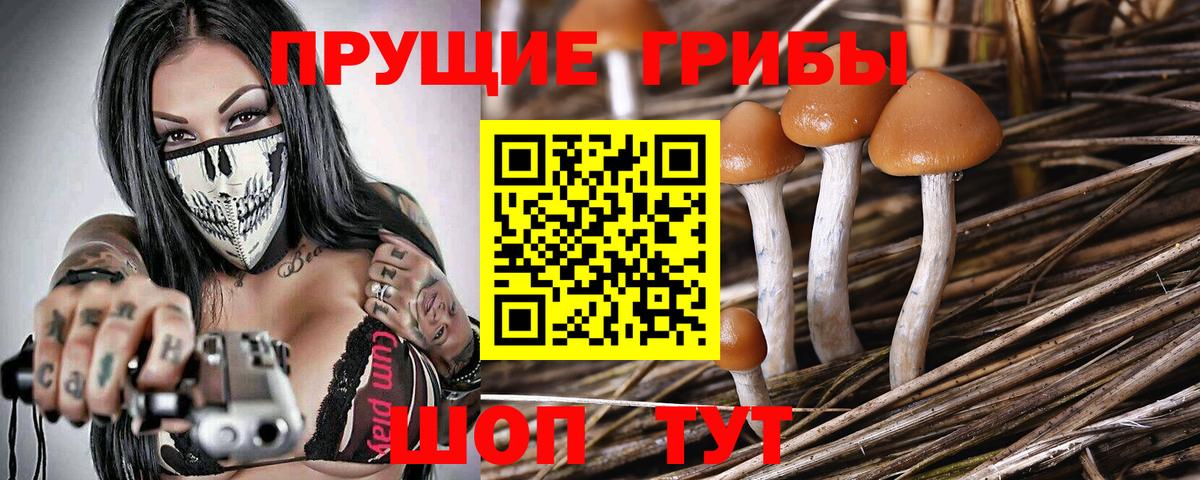Туапсе  Псилоцибиновые грибы Psilocybine cubensis  Псилоцибиновые грибы GOLDEN TEACHER  Вход с VPN 