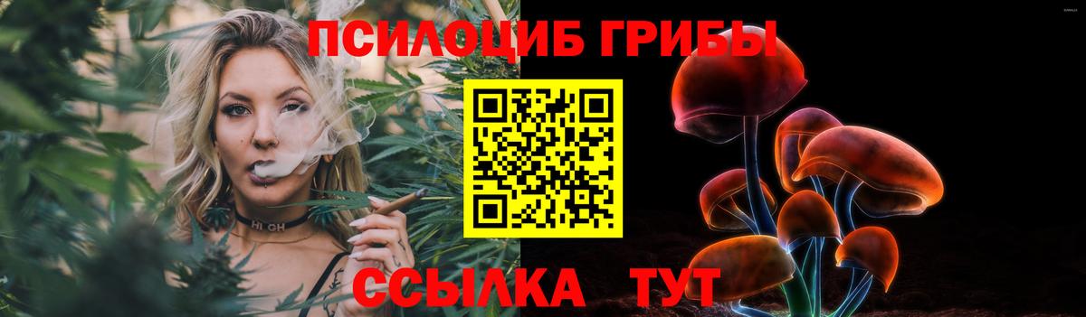 Псилоцибиновые грибы Cubensis Туапсе