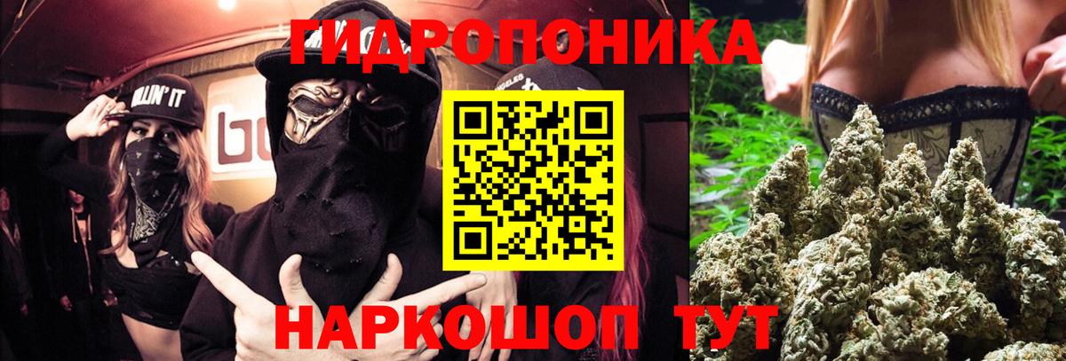 Марихуана White Widow  Марихуана план  Туапсе  Бошки марихуана конопля  МАРИХУАНА THC 21%  Вход с VPN 